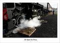 train du trieux 11_08_2011n10